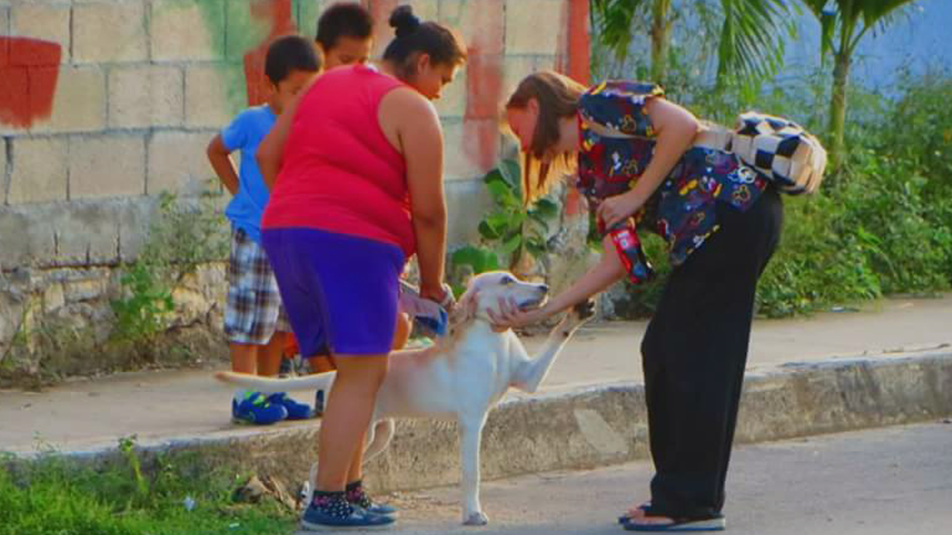 Checkups are a pleasure, families take pride in their healthy animals.